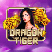 Dragon Tiger tile on d9d9 game